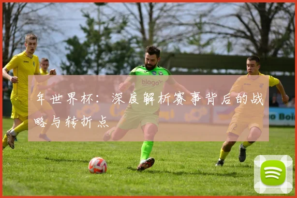 年世界杯：深度解析赛事背后的战略与转折点