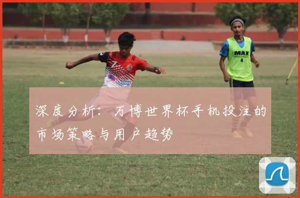 深度分析:万博世界杯手机投注的市场策略与用户趋势